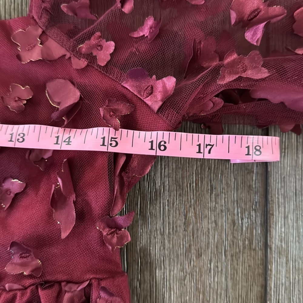 Thirty/Thirty Burgundy Butterfly Appliqué Mini Dress - Picture 9 of 10